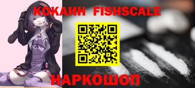 крисы Кунгур