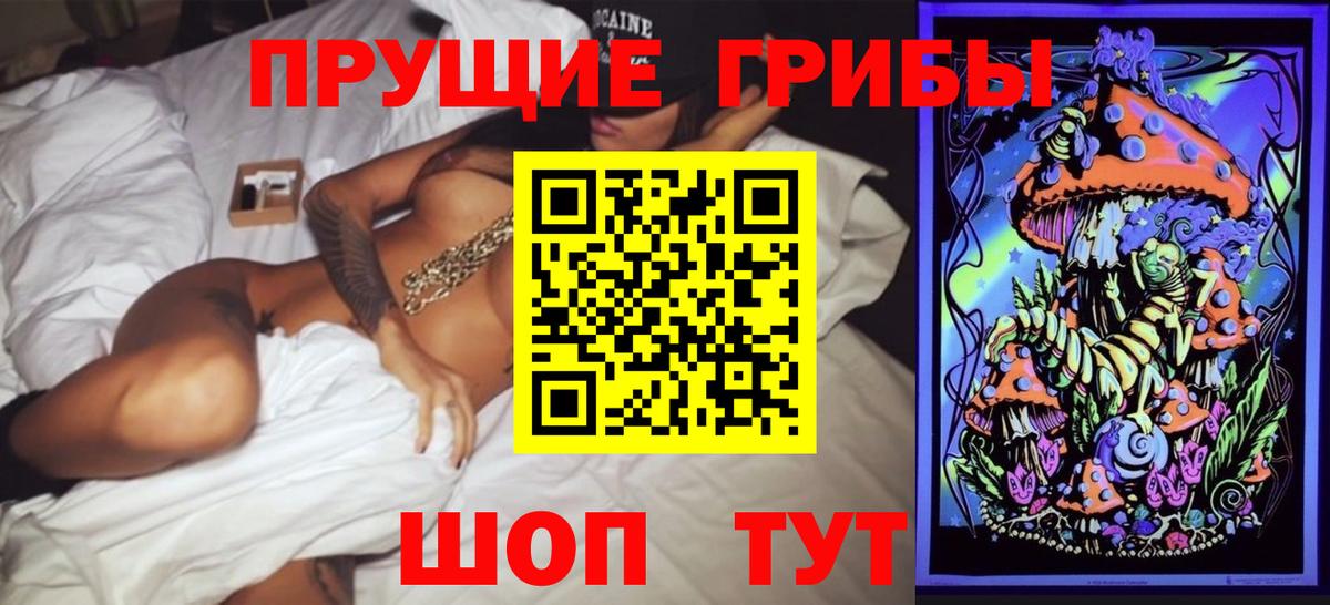Псилоцибиновые грибы мицелий  Вход с VPN  Галлюциногенные грибы MAGIC MUSHROOMS  Камышлов 
