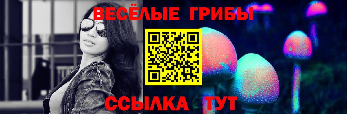 Псилоцибиновые грибы Psilocybe Камышлов